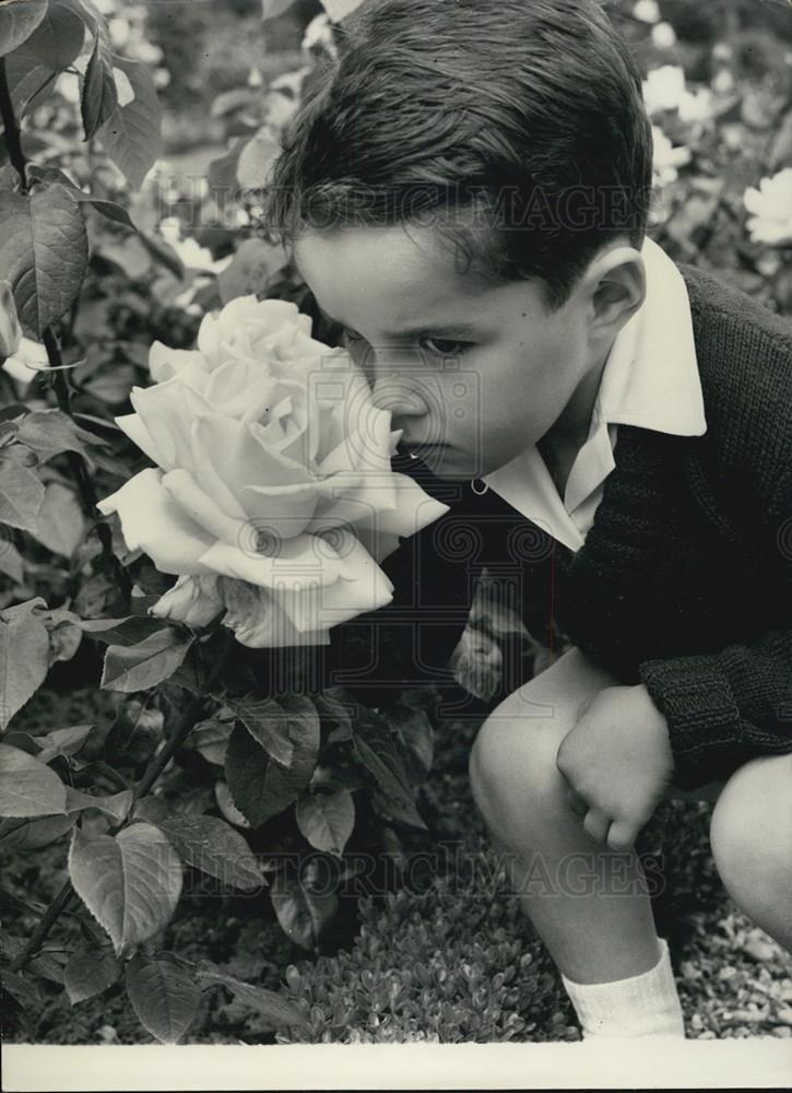 1958 Press Photo Most Beautiful Rose Award In Bagatelle Garden-Bois de Boulogne - Historic Images