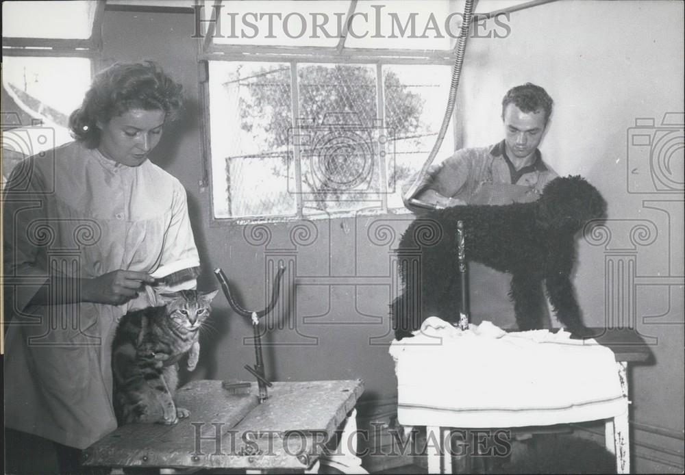 Press Photo Attendants Groom Cat Dog Summer Home Pets Livry-Cargan Paris Suburbs - Historic Images