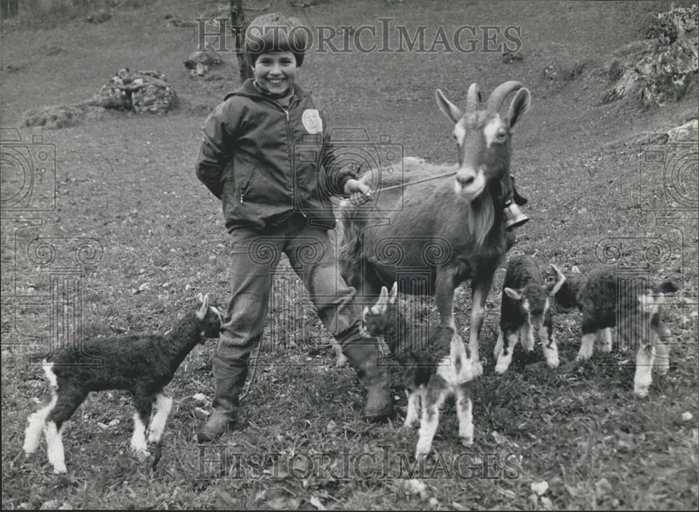 1983 Press Photo Quads in the goat-stable at Dallenwil (Switzerland): - Historic Images