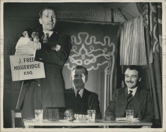1954 Press Photo Chimpanzee appears in debate between two M.P.s - Historic Images