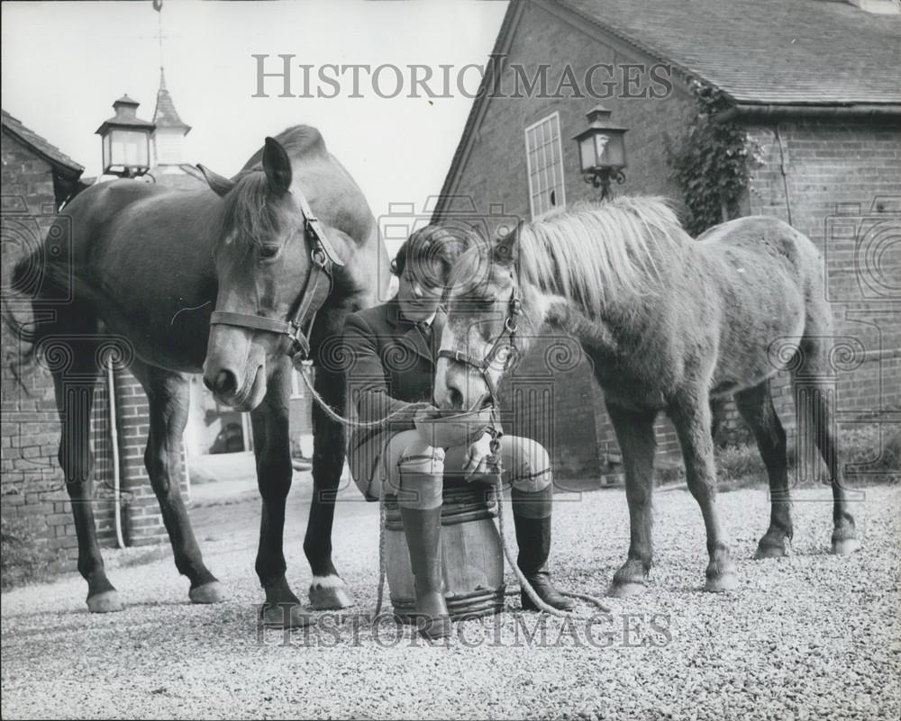 Press Photo Show Jumper Pat Moss Gives Up Career to Concentrate on Rally Driving - Historic Images