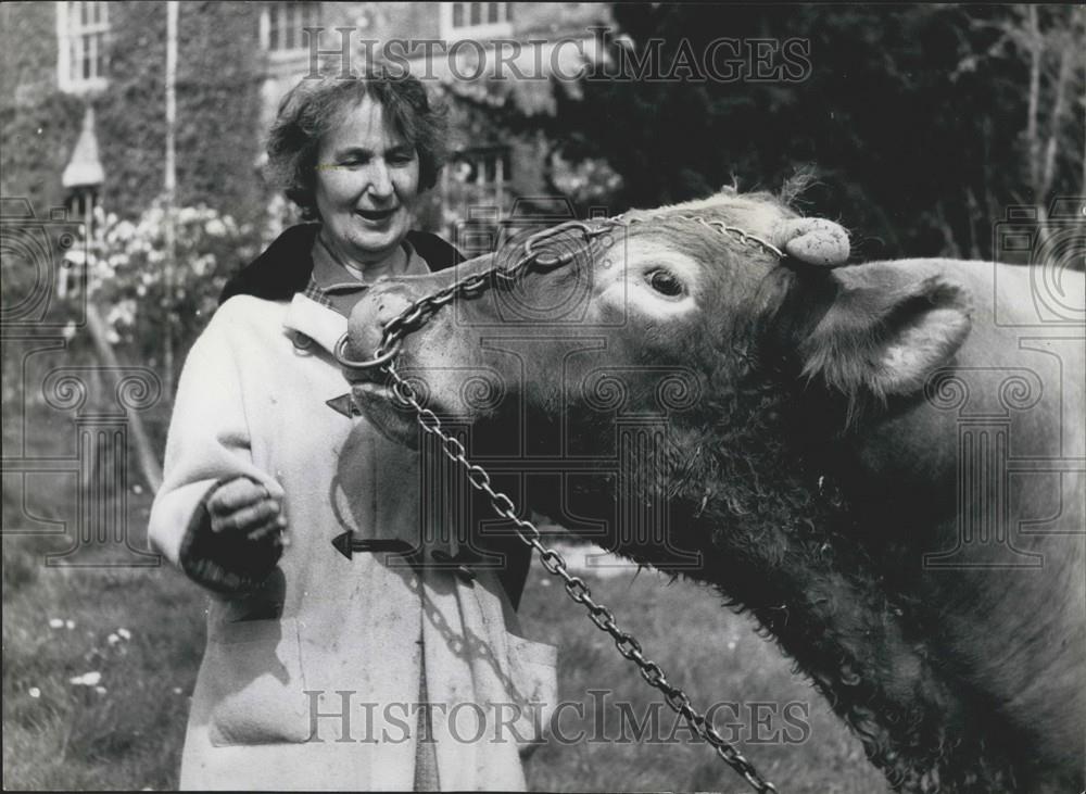 Press Photo Molly Atherton On Friendly Terms With 14 Year Old Bull Apollo - Historic Images