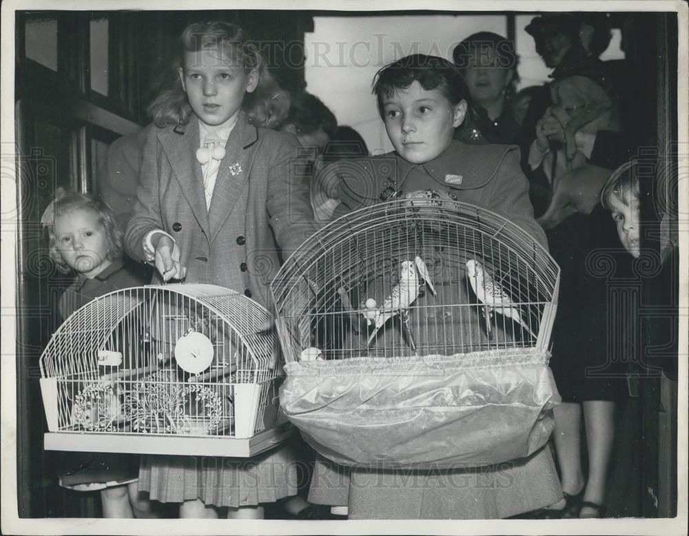 1955 Press Photo Children Arrive At St. Michaels All Angels&#39; Church With Pets - Historic Images