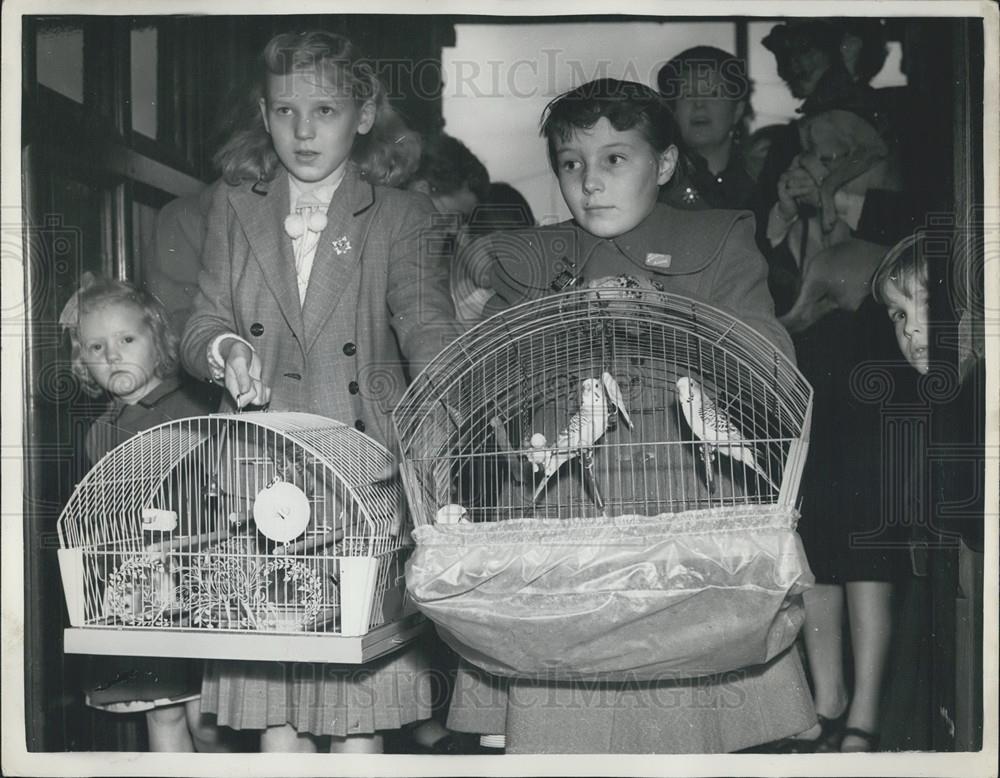 1955 Press Photo Children Arrive At St. Michaels All Angels' Church With Pets - Historic Images