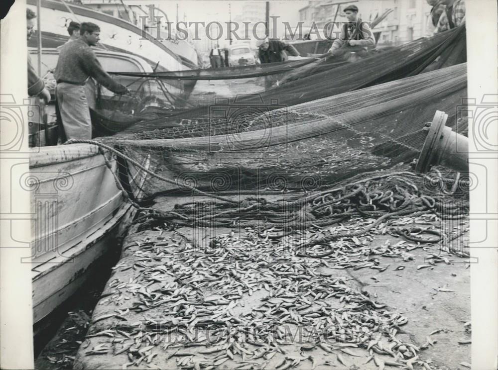 1963 Press Photo Fish On Pavement For Pickup Harbor Marseilles France - Historic Images