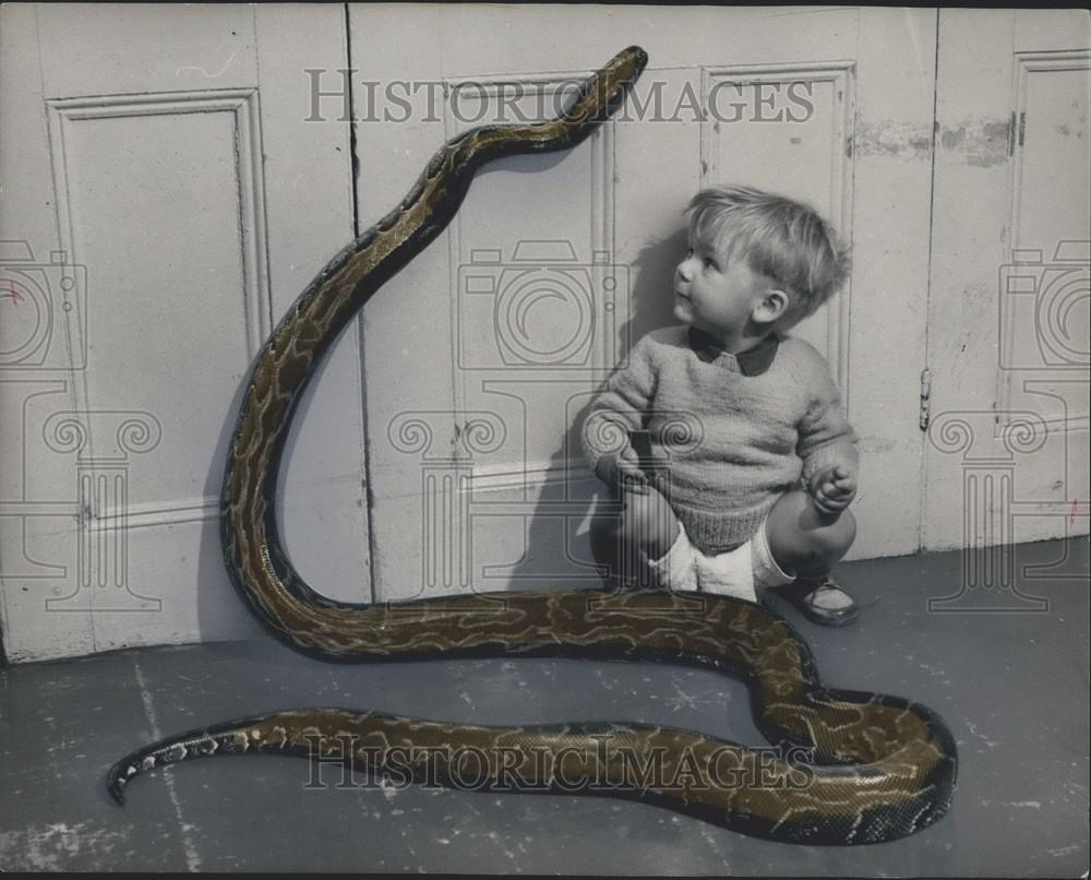 Press Photo Christopher Flanagan With Malayan Python - Historic Images