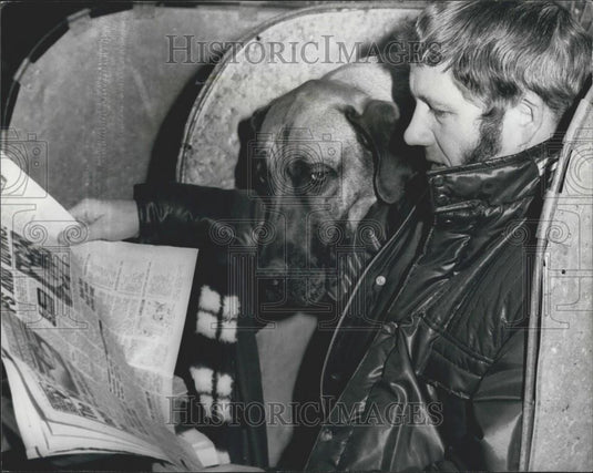 1975 Press Photo "Candleston Phearful", a Great Dane - Historic Images