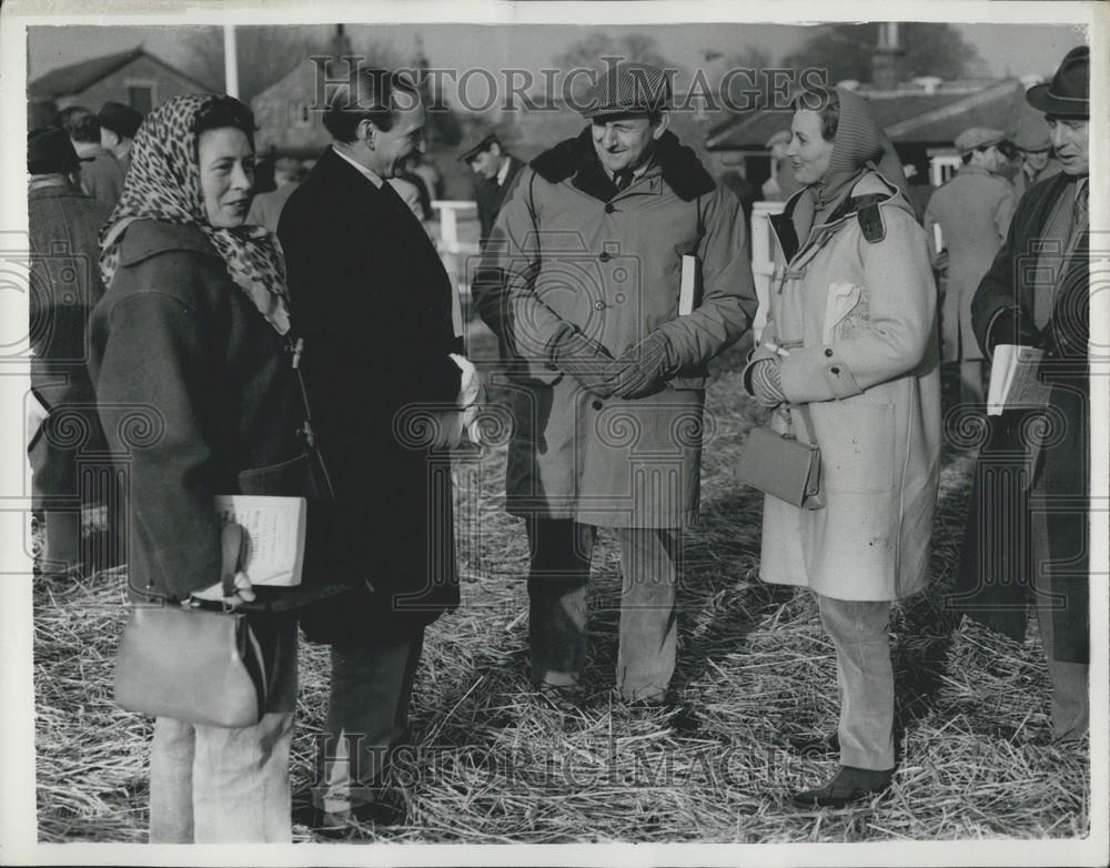 Press Photo Mare &quot;Festoon&quot; Sold For Record Price - Historic Images