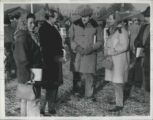 Press Photo Mare "Festoon" Sold For Record Price - Historic Images