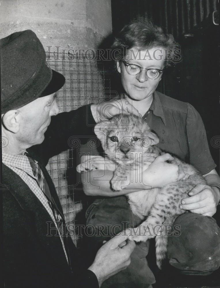 1956 Press Photo Mrs. Storch and Mr. Walz. with lion cub at Nurnberg Zoo - Historic Images