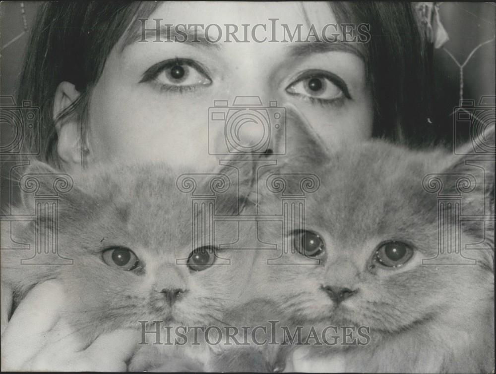 1964 Press Photo Grey Eyes And Green Eyes - Historic Images