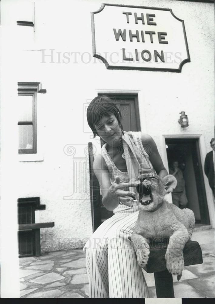 Press Photo Lion Having Alcohol Rubbed On Gums At The White Lion - Historic Images