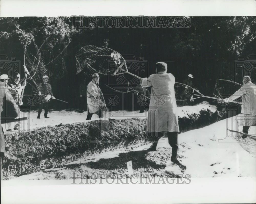 Press Photo Japanese Cabinet Goes Duck Hunting - Historic Images