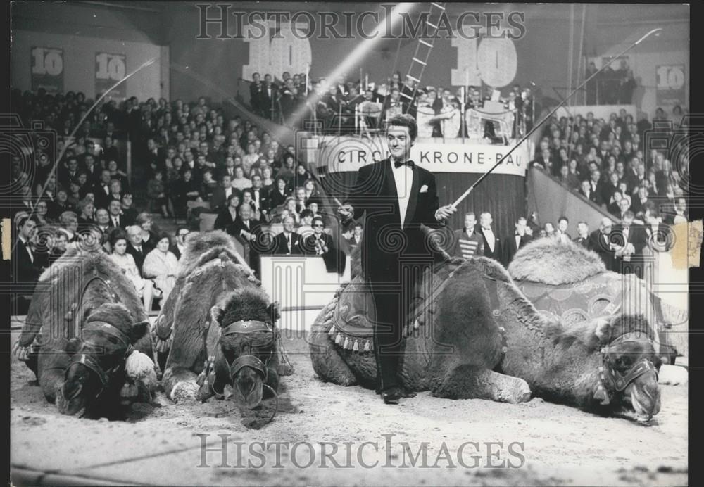 1965 Press Photo Camels Perform In The Golden 10 Gala Premier - Historic Images