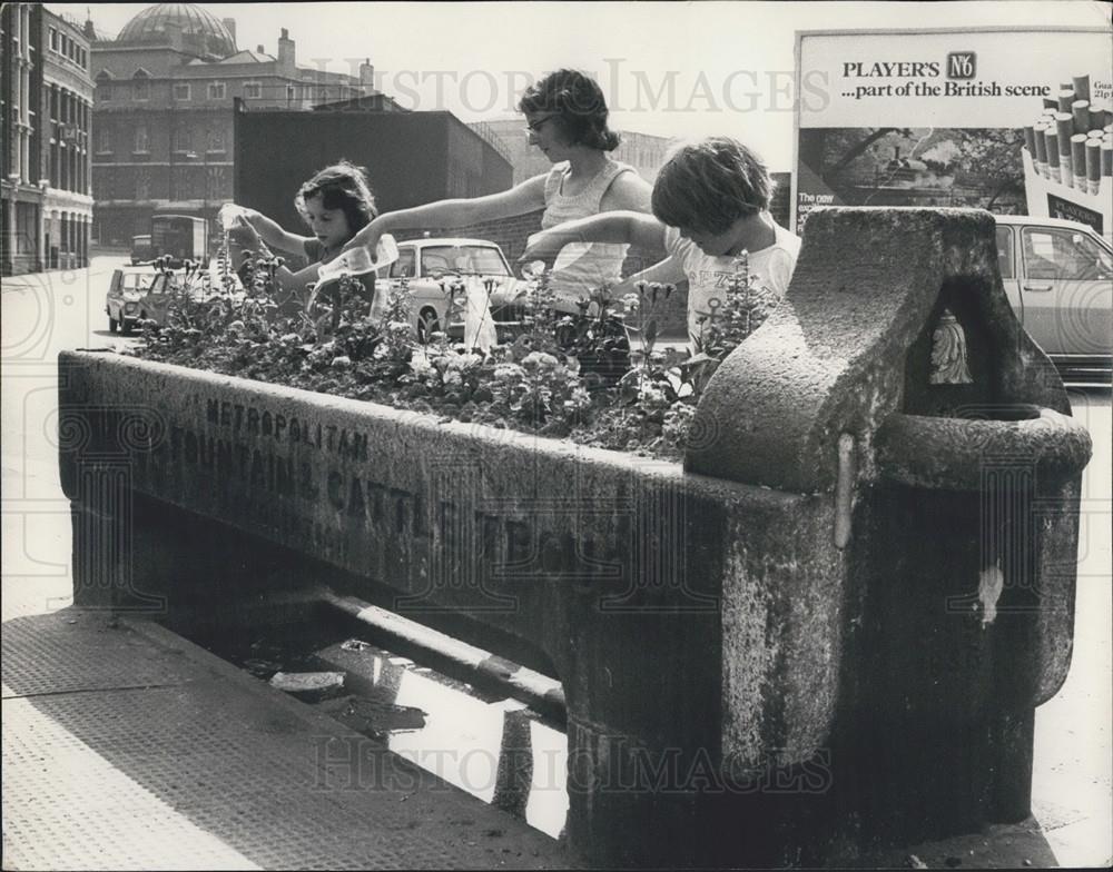 Press Photo Now Its The Flowers That Get A Drink - Historic Images