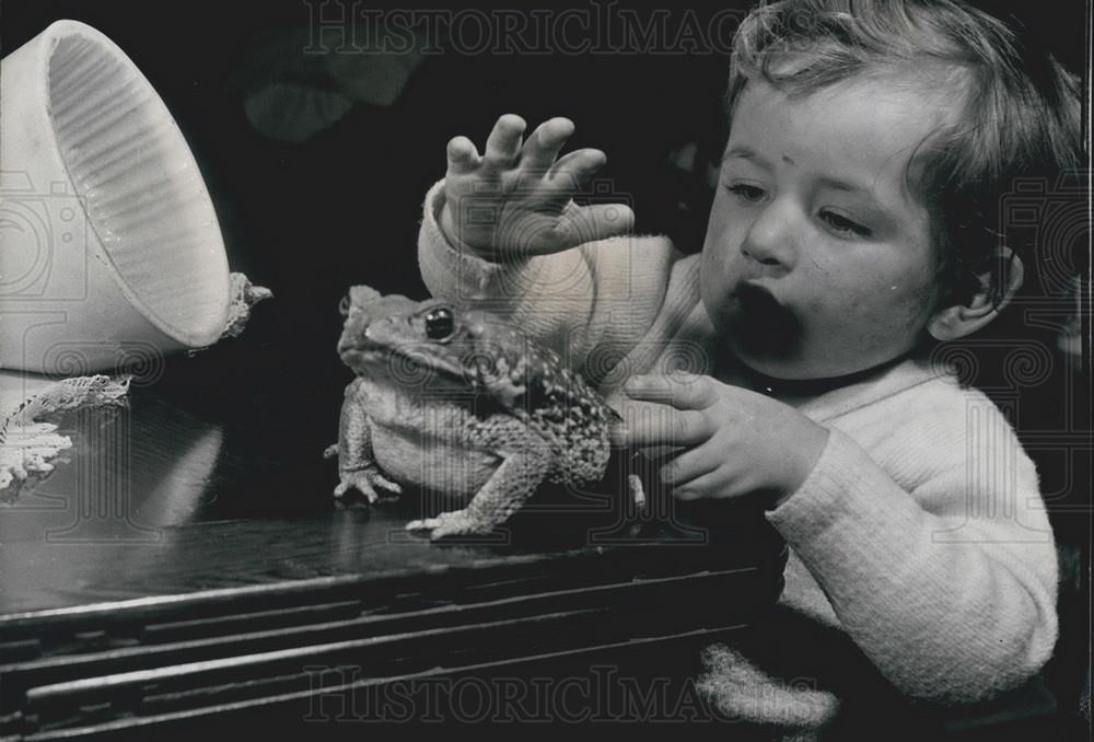 Press Photo 2 Yr Old With Pet Giant Toad-Belinda-From South America - Historic Images