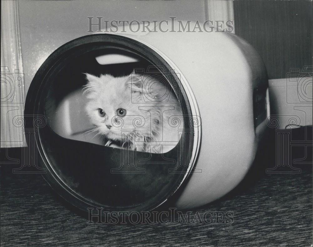 1970 Press Photo Persian Cat Tries Out Cat Catcabin At British Pet Trade Show - Historic Images