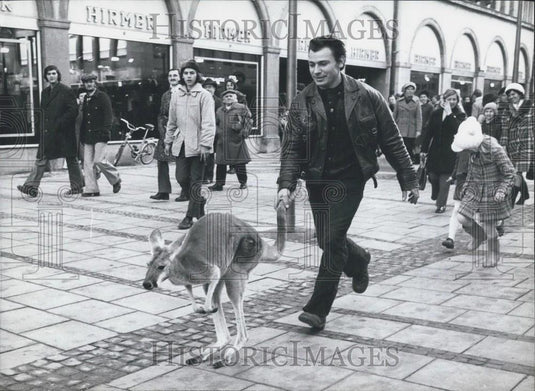Press Photo Kangaroo & Master Take Stroll Thru Munich - Historic Images
