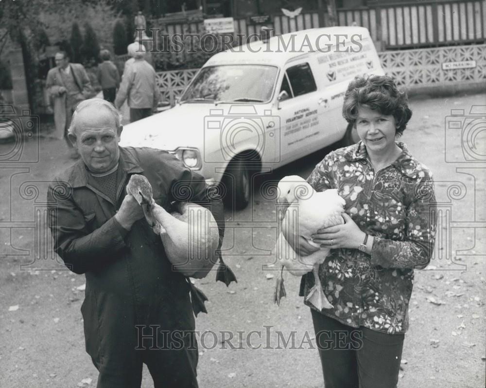 Press Photo Man And Woman Hold Duck And Goose - Historic Images