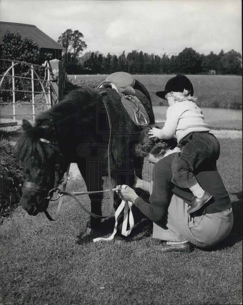 Press Photo Karen Gets a &quot;Neck-Up&quot; on to Johnny Her Shetland Pony - Historic Images