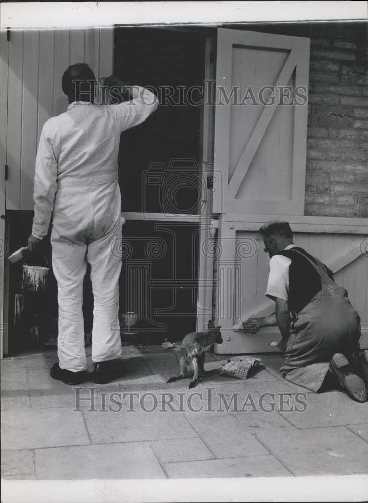 Press Photo Penny Dog Sit Watching Painter - Historic Images