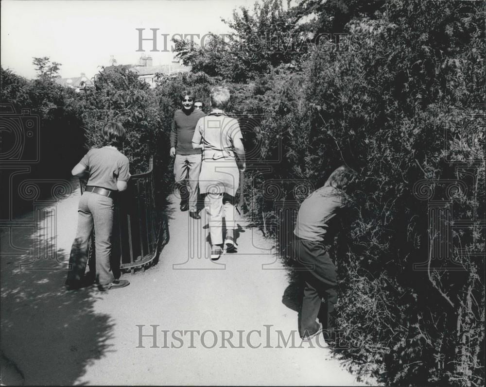 Press Photo Hampton Court - Historic Images