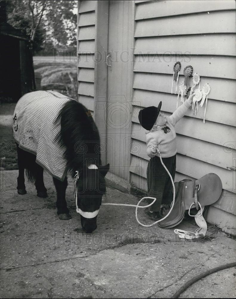 Press Photo Karen Showing Ribbons that Johnny Her Shetland Pony Won - Historic Images