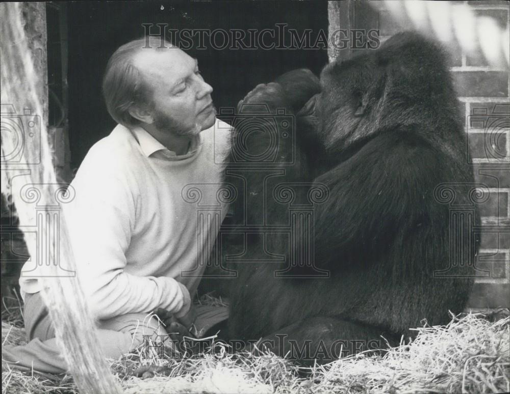 Press Photo John Aspinall and a large gorilla - Historic Images