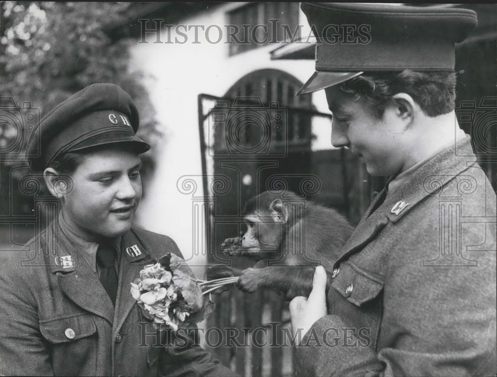 1956 Press Photo Last of 45 Runaway Monkeys Recaptured - Historic Images