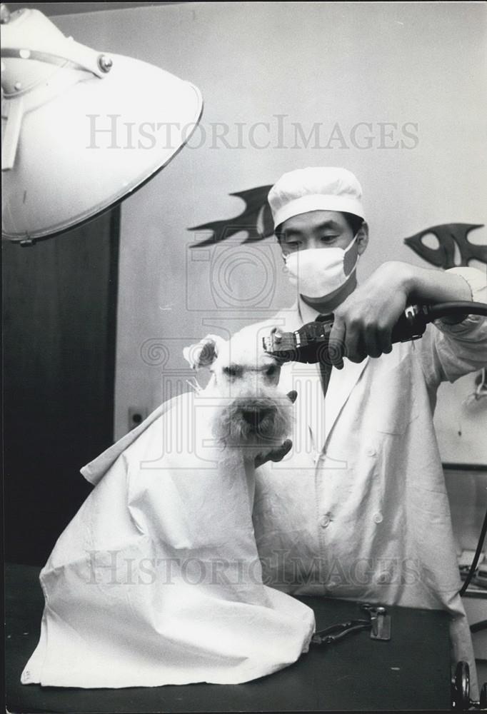 Press Photo Luxury Hotel For Dogs inTokyo - Historic Images