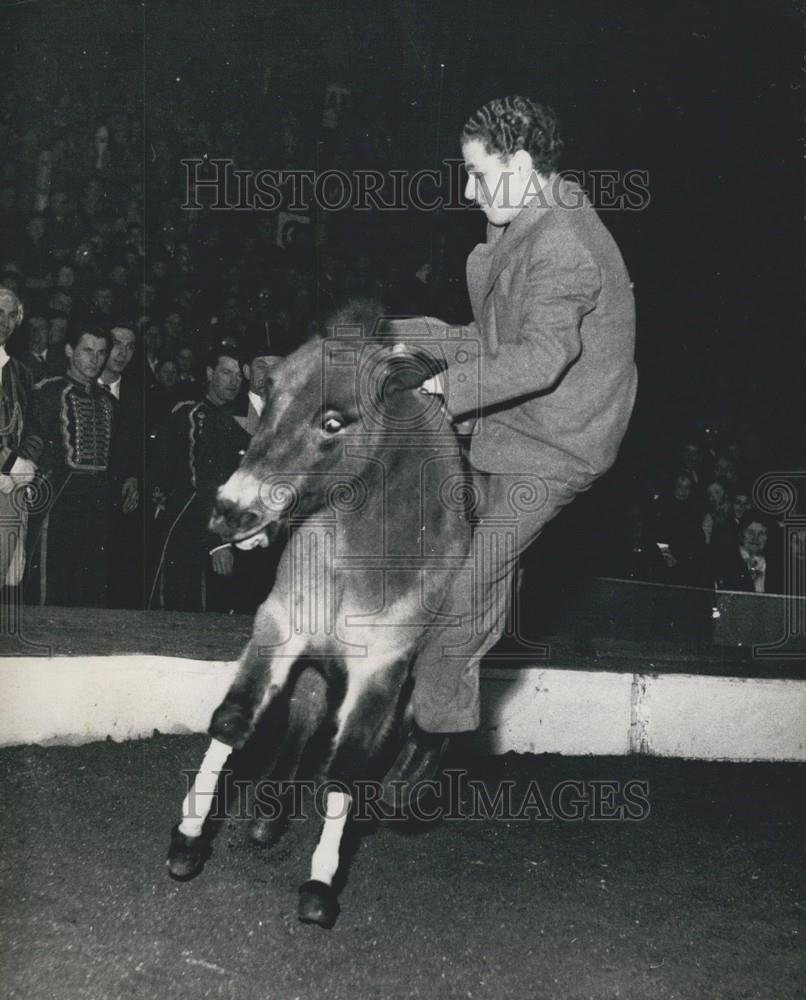 Press Photo Bertram Mills Circus at Olympia,a mule - Historic Images