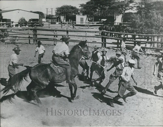 Press Photo Rodeo Training Paddock - Historic Images