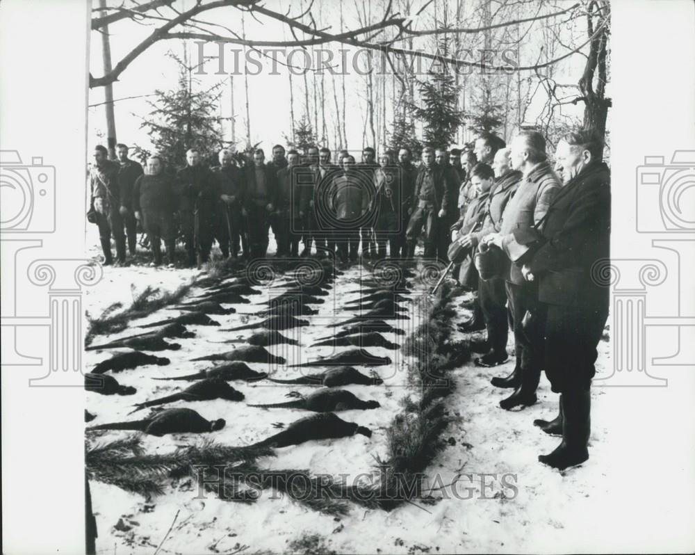 Press Photo Pheasant Hunting in Hungary - Historic Images