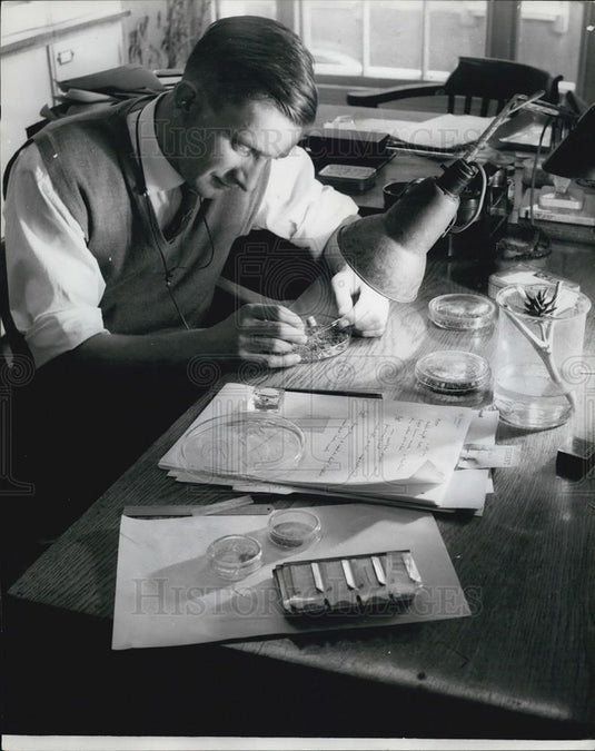 Press Photo Specialist Examines Safe Ballast, Safe Blowing Crime - Historic Images