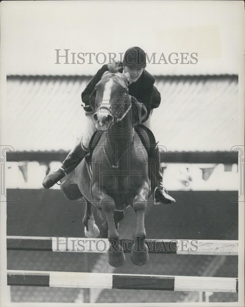 1953 Press Photo &quot;Russet&quot; ridden by Miss Susan Honey-couts - Historic Images