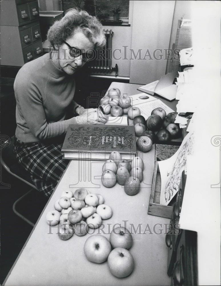 Press Photo Muriel Smith works on the National Apple Register - Historic Images