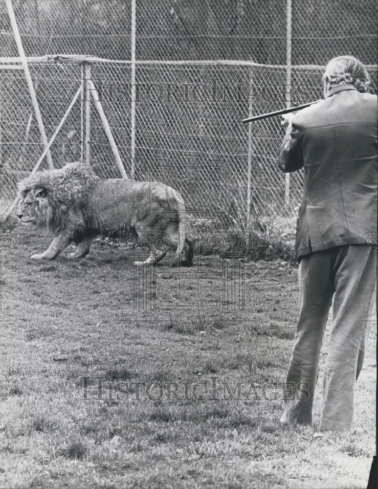 1973 Press Photo Exporting Lions To Africa - Historic Images