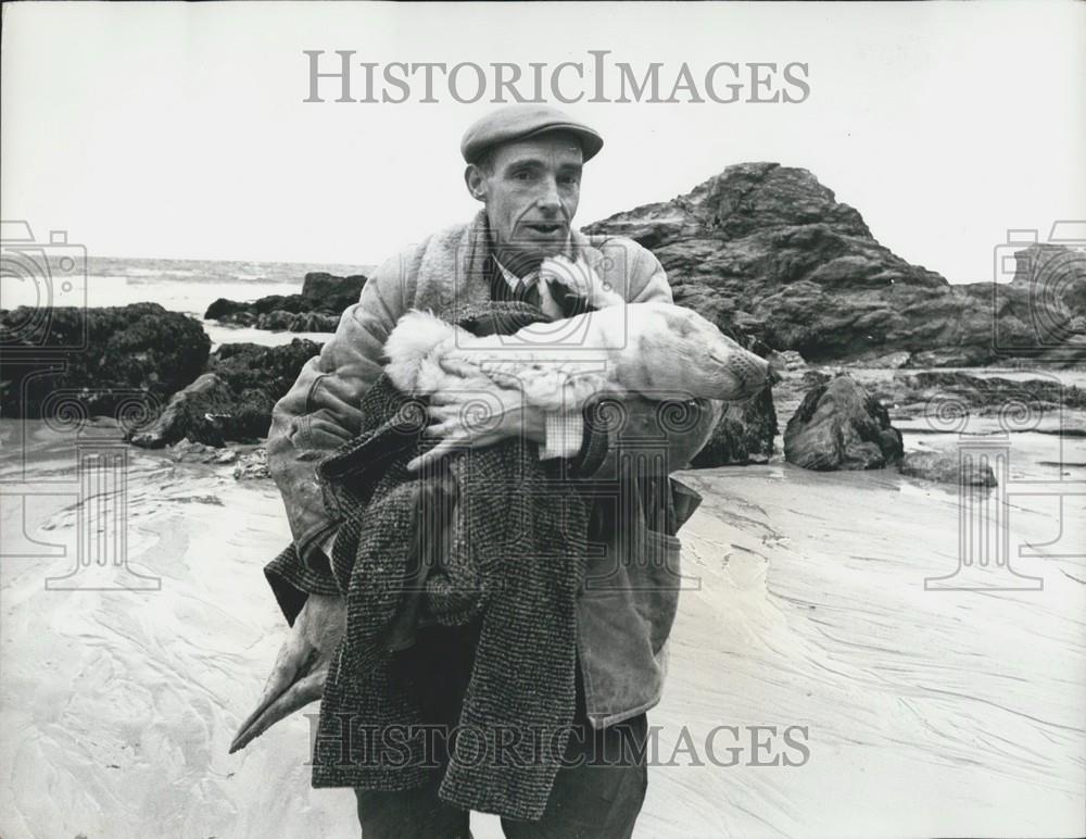 Press Photo Ken Jones Works To Save Seals - Historic Images