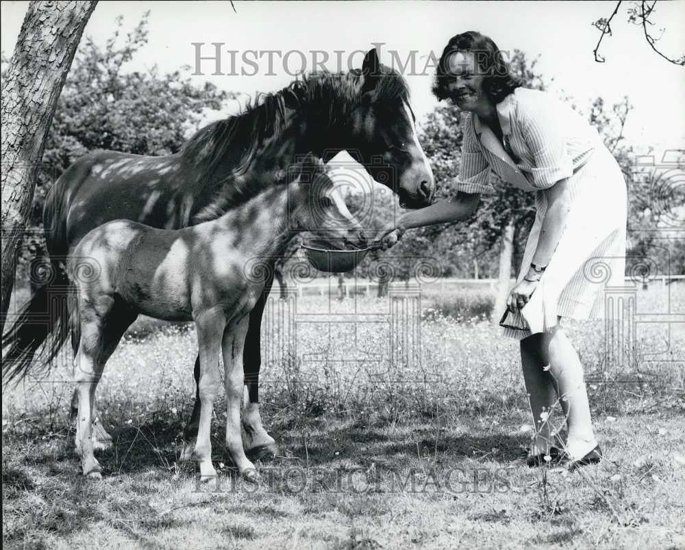 Press Photo Duchess Ann of Rutland with Welsh Ponies - Historic Images