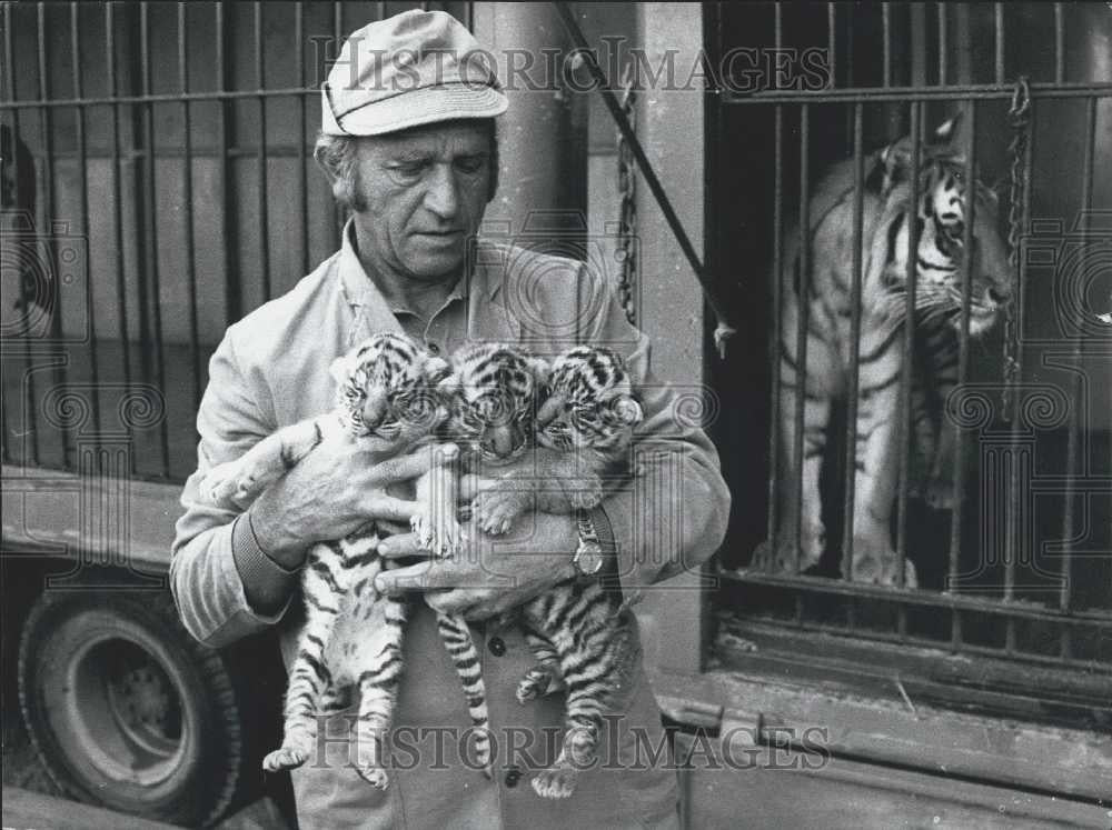 1947 Press Photo 3 Young Tigers In August 1973 - Historic Images