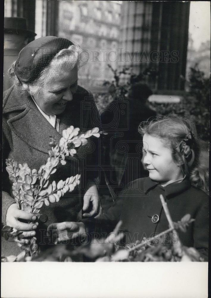 1953 Press Photo Little Parisian Girl buying a branch of box for Palm Sunday. - Historic Images