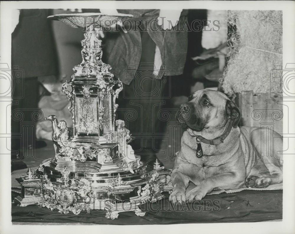 1954 Press Photo Pricls Gold Center Piece In Royal Plate From Buckingham Palace - Historic Images