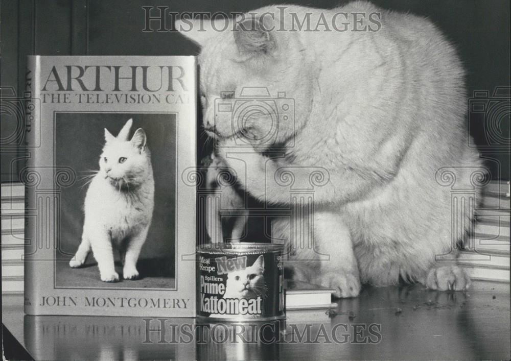 1975 Press Photo Arthur The Television Cat Publicizes A Book - Historic Images