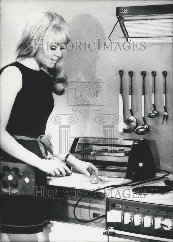 1971 Press Photo New Hobby-Grill one of many interesting Novelties shown at Fair - Historic Images