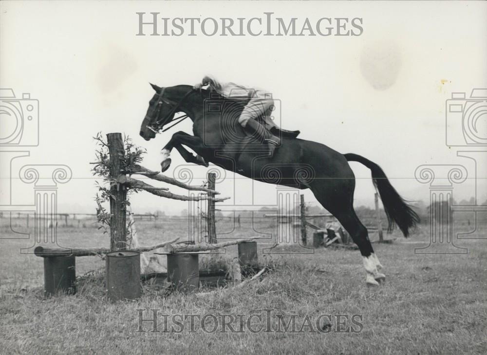 Press Photo &quot;Earlsrath Rambler&quot;,ridden at morning practice - Historic Images