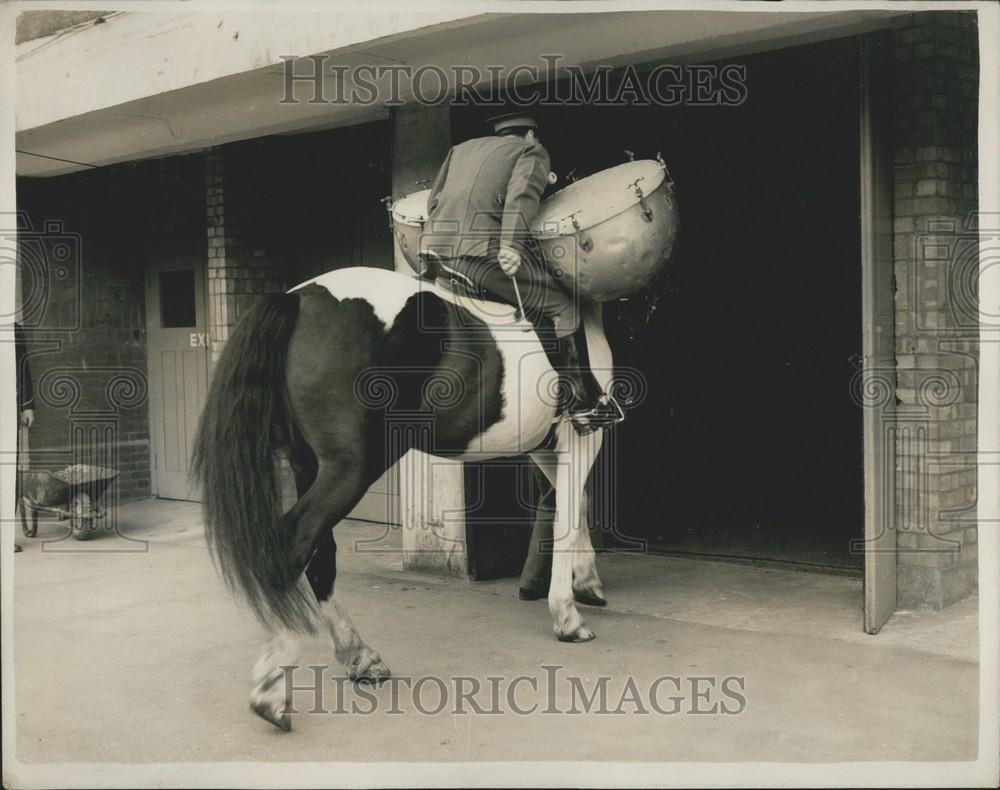 Press Photo "Bonaparte" Prepares For "Horse of the Year" Show - Historic Images