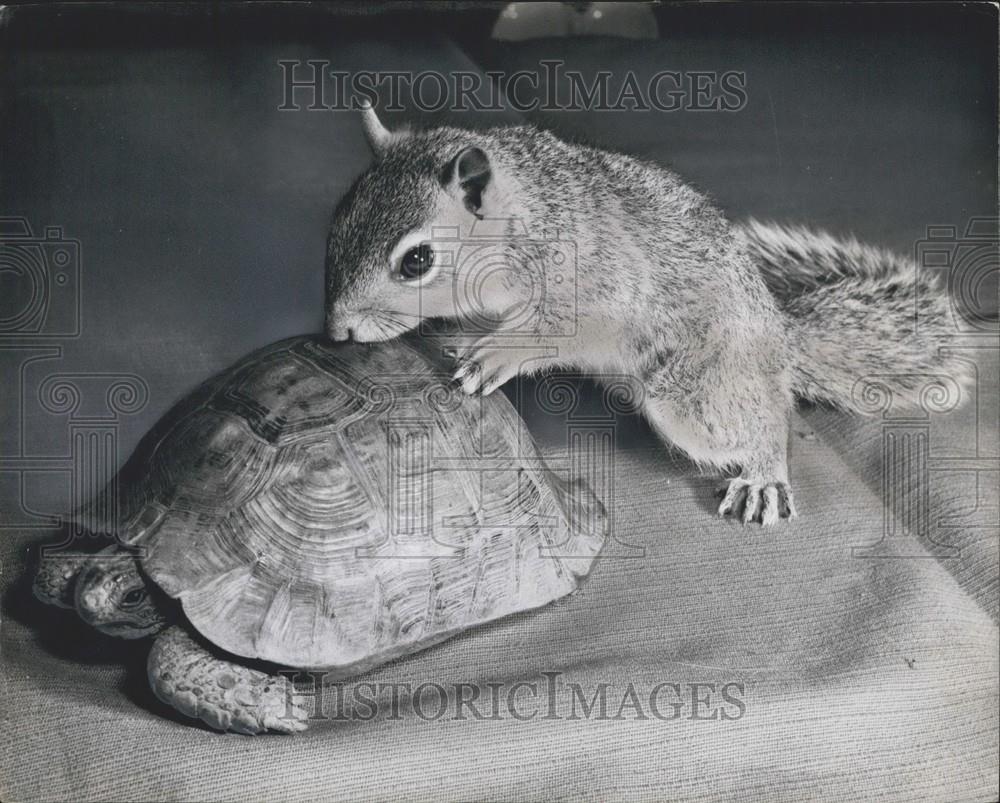 1959 Press Photo - Historic Images