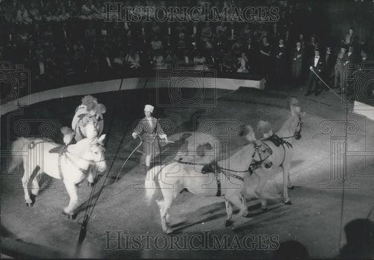 Press Photo Famous Actress Dawn Adams as Horse Trainer at Cirque D'Hiver - Historic Images