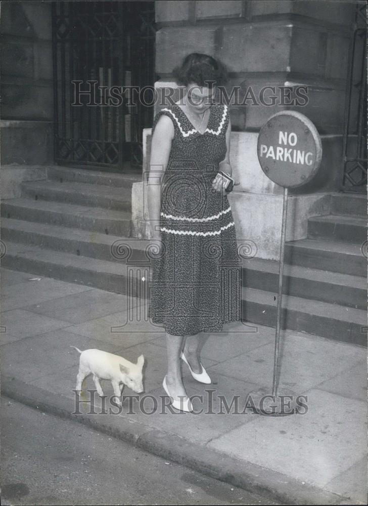 Press Photo Walking a Pig is Mrs Violet Smalley - Historic Images