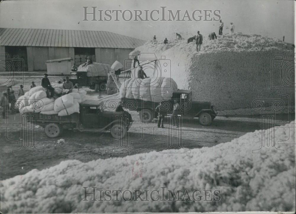 1956 Press Photo Cotton Storing at the Kurgan-Tyube in Tadjidistan - USSR - Historic Images
